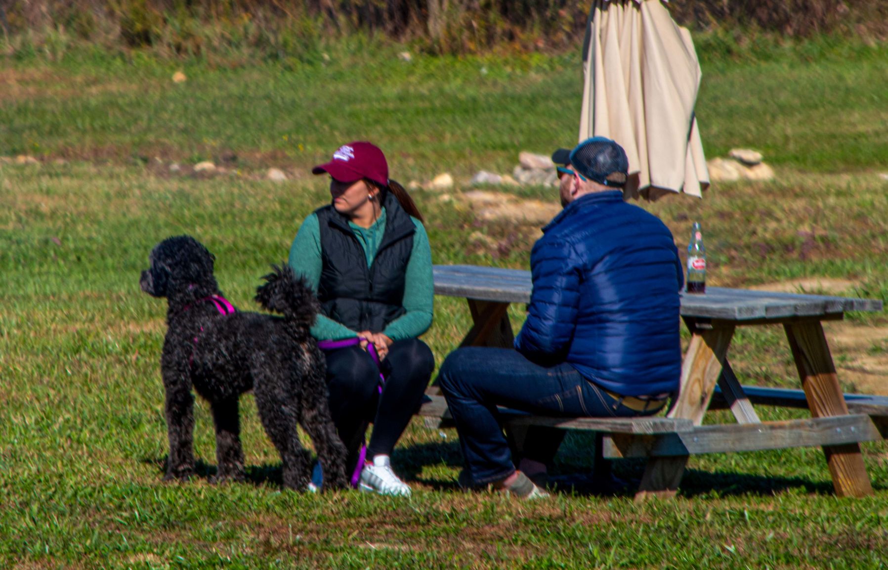 20191109-DSC_9040.jpg